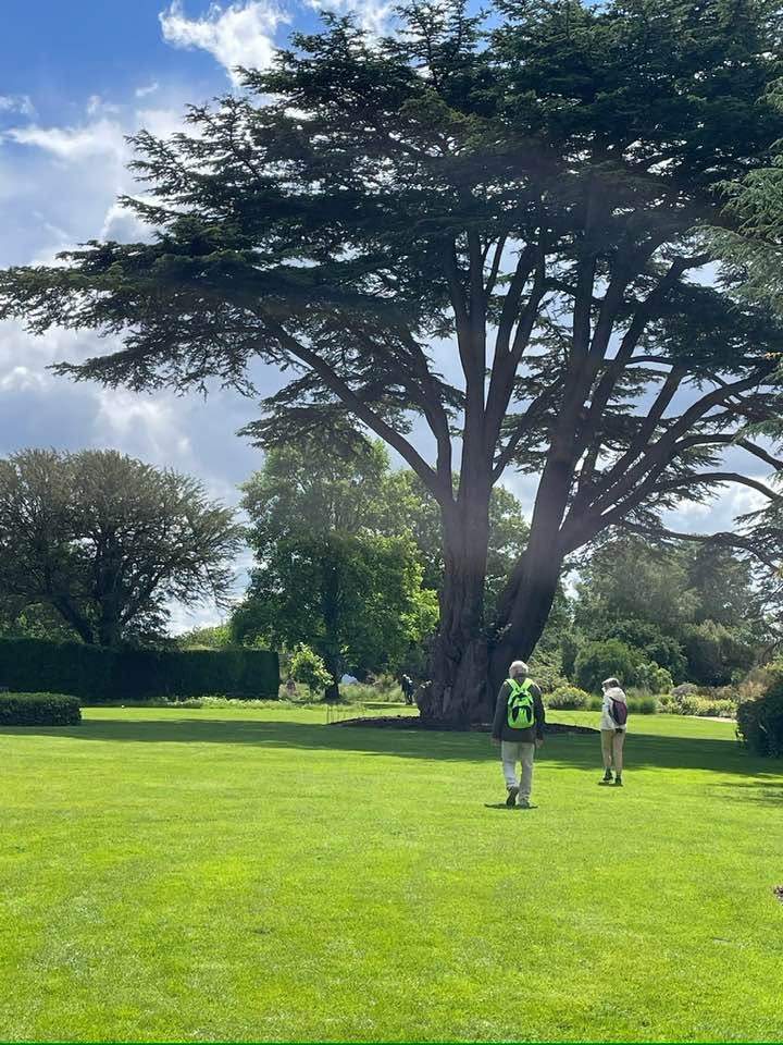 Nymans garden